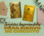 tarjetas para siervo de circuito